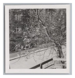 Berlin im Frühling 1939 - Wohnsiedlung - Altes Foto 1930er - Imagen 1 de 2