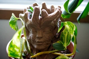 Wood Nymph Planter - Picture 1 of 5