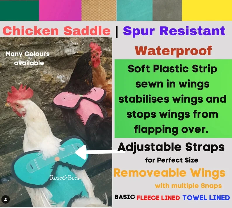 SILLA DE MONTAR DE POLLO | Chaqueta de aves Delantal de gallina Resistente a espolones Impermeable ALA Proteger Foto 1 de 4