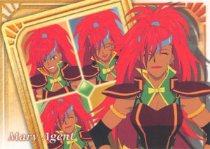 Tales of Destiny Trading Card Frontier Works No.52 Normal Mary Agent