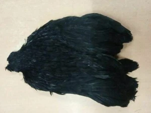 Gordon Griffiths Grade1 Hen Cape Dyed Black