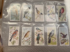 Carreras Cigarette Cards Full Set of 50 - Birds Of The Countryside 1939 - Picture 1 of 10