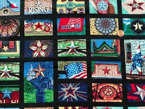1 1/2 Yard State Art #730 (Texas) Northcott Cotton Fabric by Rick Vanderpool - Picture 1 of 3