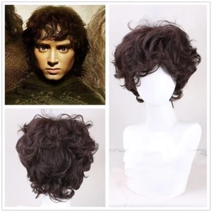 The Lord of the Rings Frodo Baggins Hair Dark brown Cosplay Prop Wig - Picture 1 of 4