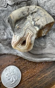 Ágata Fairburn - Imagen 1 de 3