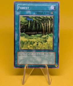 YuGiOh - Forest (Spell) - LOB-046 - Common Unlimited - Picture 1 of 2