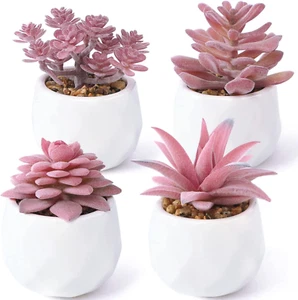 Set of 4 Artificial Succulent Plants - Decorative Faux Potted Realistic Mini Pla - Picture 1 of 12