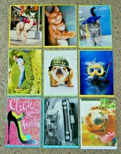 Lot 9 NEW Avanti Mom Dad Day Grad B-Day TY Animal Greeting Cards & Envelopes - Picture 1 of 1