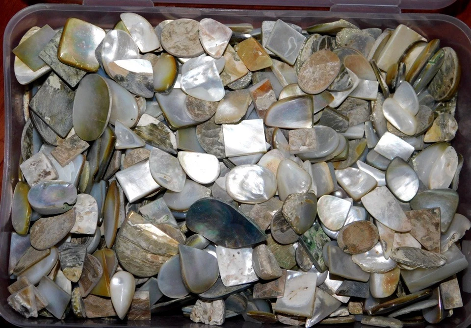 Exotic Mother Of Pearl Cabochon Natural Gemstone Wholesale Lot 1500Cts  - Image 1 of 1