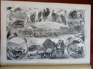 Central Park Zoo Belmont Harper's Reconstruction newspaper 1866 complete issue - Picture 1 of 8
