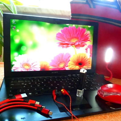 Sony Vaio SVZ13 PRO 13 Zoll FULLHD l KohleFaser l Dünnstes UltraBook WELTWEIT i5 - Bild 1 von 4