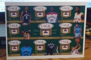LEBRON JAMES ROOKIE SAGE UNCUT PANGOS 2002 LeBron James High School Green Sheet - Picture 1 of 4