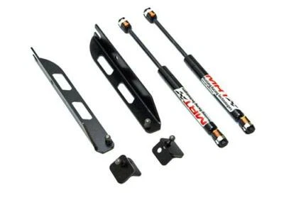 SUPORTES DE CAPÔ 2005-2014 FORD MUSTANG MRT, sem broca PRETO $OUTLAW PONY VENDA! - Imagem 1 de 4