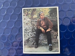 PANINI CANTANTI 72  BRUNO LAUZI N 51