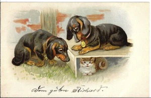 DACKEL mit Katze, Künstler-AK um 1900 - Picture 1 of 1
