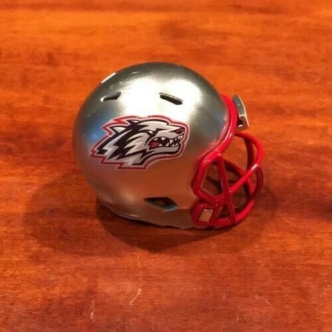 New Mexico Lobos custom pocket pro helmet Mountain West Cover
