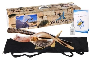 Set di 3 corni Shofar: Kudu, Oryx, Ram + borsa + spray + guida + custodia da trasporto - Foto 1 di 11