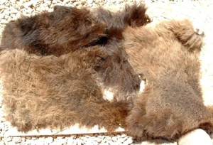 Bison/Buffalo Tanned Hide Scrap 4 Pieces Total of 58" x 36" (Stiff Hide) - Picture 1 of 7