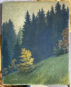 :PINTURA AL ÓLEO ABETOS EN LA LADERA OTOÑO LUZ DE VISUALIZACIÓN °M. PORTADOR FIRMADO ANTIGUO BOSQUE NATURALEZA - Imagen 1 de 7