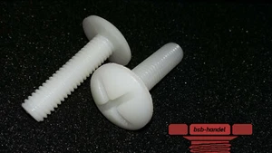 M8 x 10 Flachrundschraube Kreuzschlitz Polyamid Nylon Kunststoff PA6.6 10 Stück - Bild 1 von 1