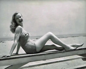 Anne Francis - celebrities - American Broadway actress - 8x10 PUBLICITY PHOTO - Picture 1 of 1