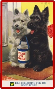 Scottish Terrier Dogs Home Art Refrigerator / Tool Box Magnet  - Picture 1 of 1