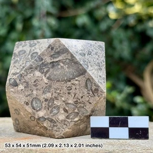 Polished marble tetradecagon paper weight - natural stone desk decor - genuine - Picture 1 of 1