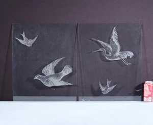 18" Tall Pair of Antique French Etched Glass Windows Frosted Glass with Birds - Picture 1 of 12