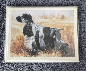 New Pet Dog Roan English Cocker Spaniel In Field 4 Note Cards By Ruth Maystead - Picture 1 of 2