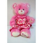 Build A Bear Workshop Pink 17" Stuffed Plush Bear Endless Hearts Valentine Dress