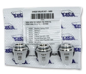 Valve Kit for 5CP6190/7CP6170 Pumps, Cat Pumps 34920 - Picture 1 of 1