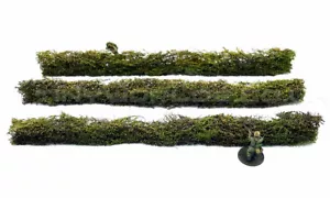 Wargames Hedges 28mm Ready to Play 1" Bolt Action WW2 20mm 1/48 1/72 Model Scale - Picture 1 of 4