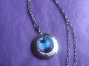 ANGEL FAIRY CAT ROUND LOCKET SILVER TONE PENDANT NECKLACE for Cat Sanctuary - Picture 1 of 4