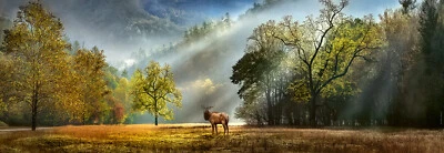 Heye Morning Salute 1000 Piece Jigsaw Puzzle By Alexander von Humboldt - Image 1 of 2