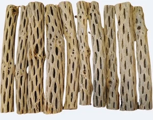 10 THICK 9" Cholla Wood Pieces | PREWASHED | Aquarium | Terrarium | Shrimp |... - Picture 1 of 1