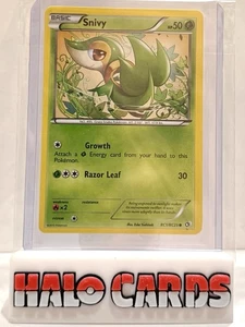 PACKFRISCH Pokémon TCG NM-Mint Snivy RC1/RC25 Reverse Holo Radiant Collection HF - Bild 1 von 2