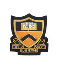 RARE New Authentic Vintage Princeton University Hand Made Badge Ivy League