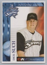 Dick Such 2007 DAV Camden Riversharks Atlantic League Baseball Card
