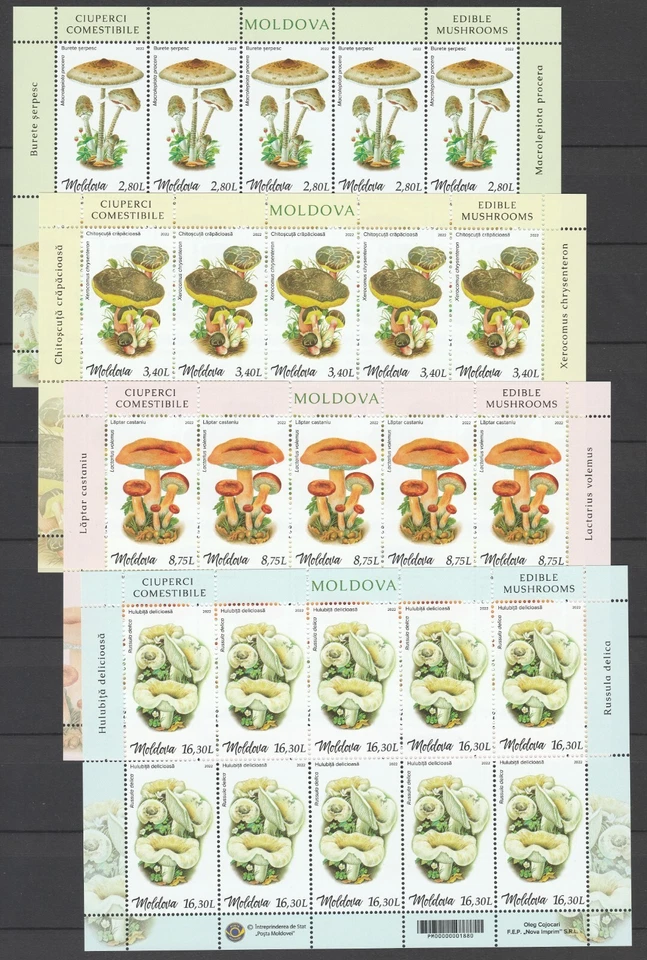 Moldova 2022 Mushrooms 4 MNH Full sheets - Image 1 of 1