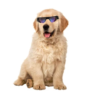 Occhiali da Guida per Cani Occhiali Decorativi per Cani Occhiali da Moto per Cani - Foto 1 di 12