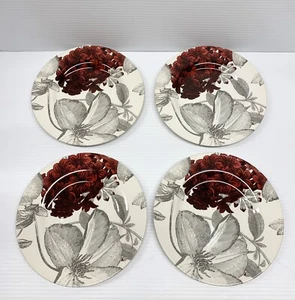 Set Of 4 Andrew Tanner Plates Royal Staffordshire RED CLEMATIS 8.5”Salad England - Picture 1 of 15