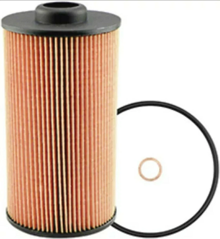 Elemento filtro aceite motor para BMW X5 2000-2004 Hastings LF481 Foto 1 de 1