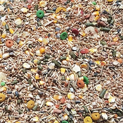 MANI-KO Rat Mouse Food 1.5KG Hamster Rodents Guinea Pig Animal Gerbil Pet Degu Mice