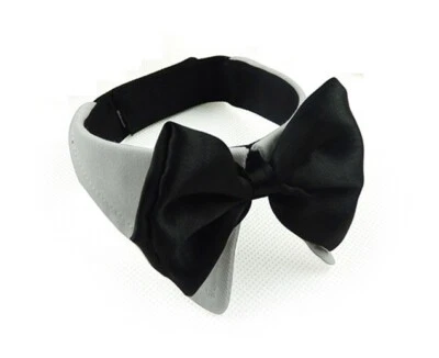 Accessorio Per Cani E Gatti Con Papillon E Collana - Immagine 1 di 3