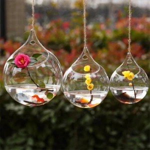 Glass Hanging Vase Hydroponic Terrarium Succulent Planter Flowerpot Home Decor - Picture 1 of 5