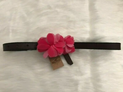 NWT Hollister Brown Genuine Leather Belt Size XS/S Pink Flower Embellishment - Image 1 of 3