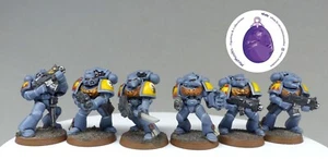 Warhammer 40k, wolves, marine, blood claw, griffe sanglante, tactical, firstborn - Bild 1 von 6