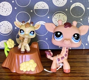 💛LPS Littlest Pet Shop Search n Safari Giraffe #1488 Toys R Us Baby Giraffe  🩷 - Picture 1 of 11