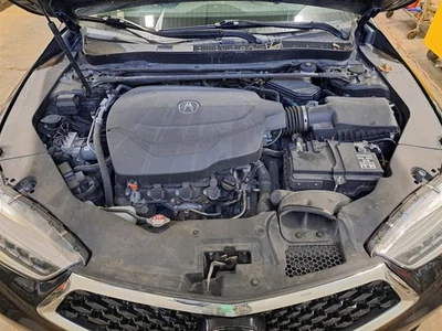 Rear Strut 2019 Tlx Sku#4263956 - Image 1 of 4