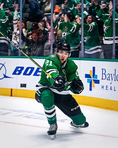 Jason Robertson Goal Celebration Dallas Stars NHL 8x10 Photograph Cover